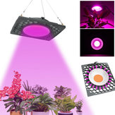 50W Lampe de culture LED à spectre complet Veg Seed Greenhouse Super Cooling Lampe de plante AC110V/220V