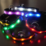 LED-Sicherheits-Blinklicht auf Nylon-Halsband in Größe L für Haustiere