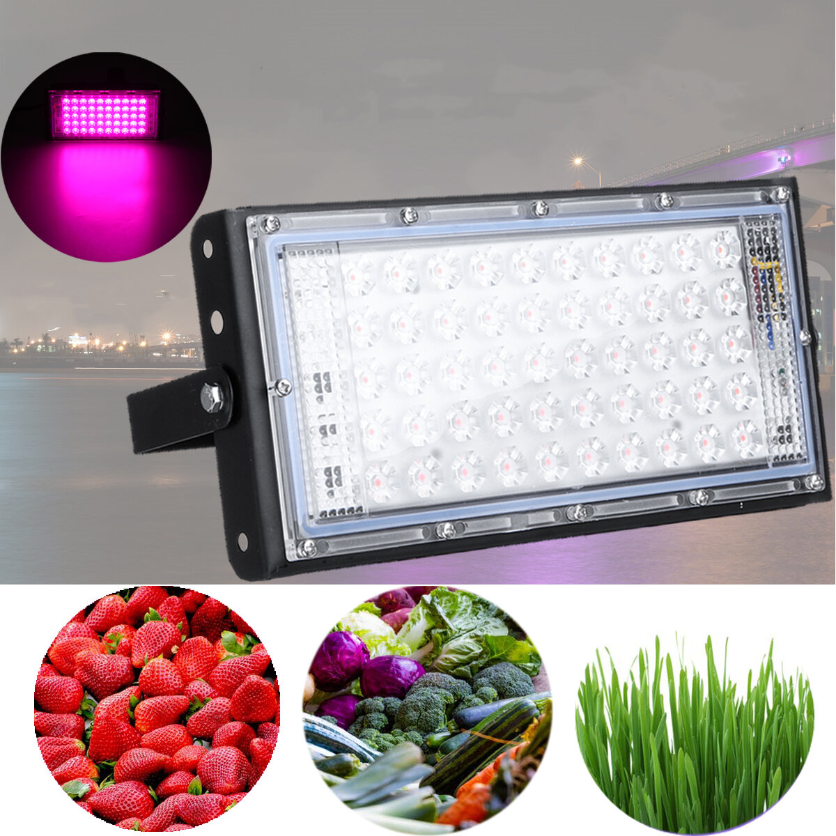 50W LED Grow Light Full Spectrum Indoor IP66 Waterprooof Planten Bloem Groente Groeiende Lamp Groei 