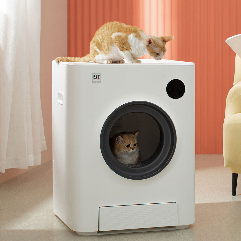 best price,smart,automatic,deodorization,self,cleaning,cat,toilet,discount