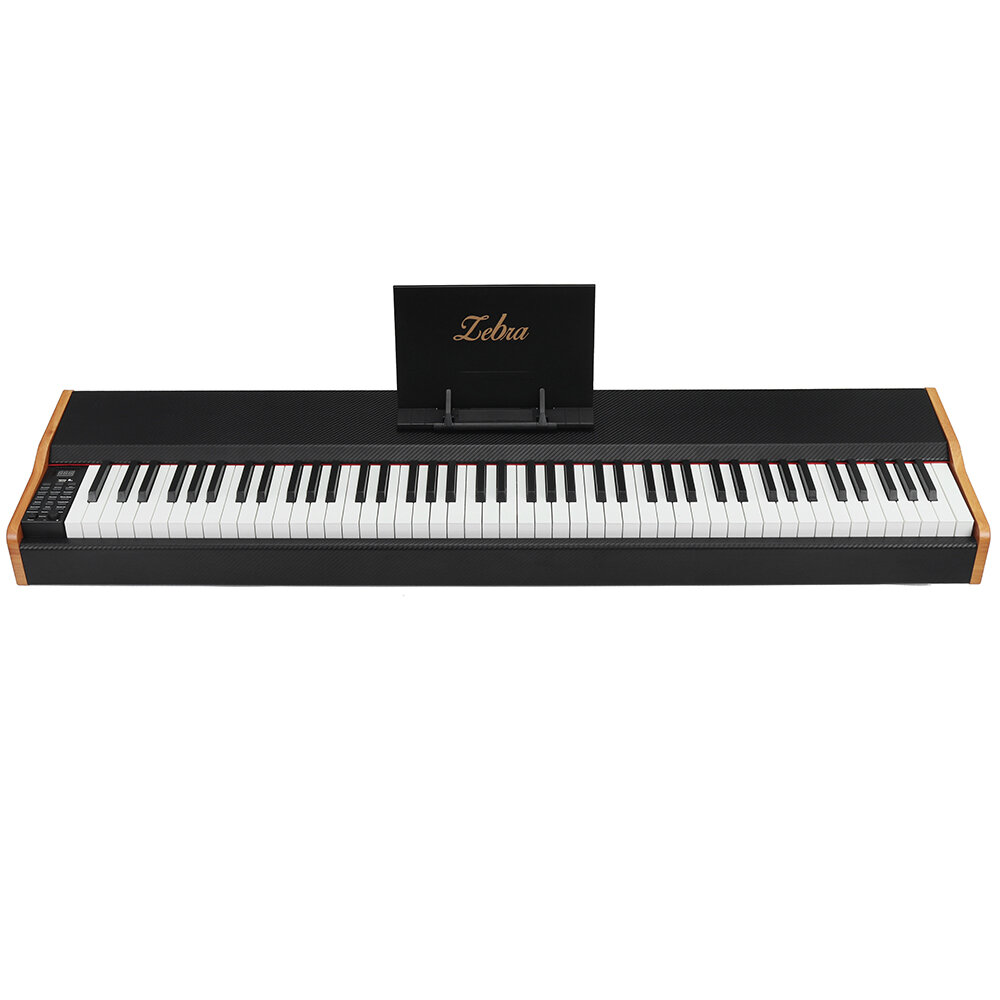Zebra 88-key Carbon Fiber Electronic Piano