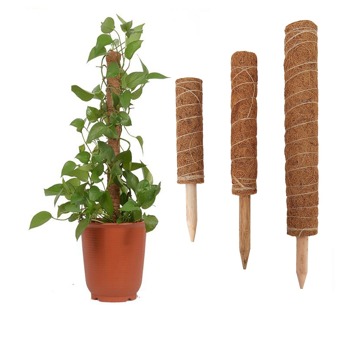 4 Pack Coir Totem Pole Plant Coir Moss Stick Totem Pole for Climmbing Plant Support Extension Climbi
