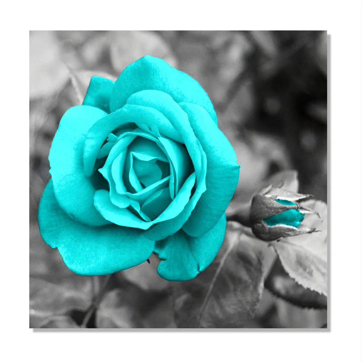 Blue rose canvas painting wall decorative print art pictures unframed wall hanging home office wall decorations