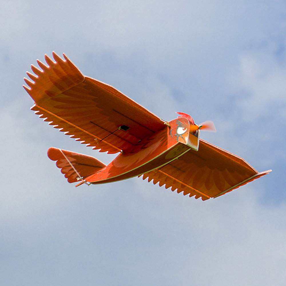 Dancing Wings Hobby New Biomimetic Northern Cardinal 1170mm Wingspan EPP Foam Slow Flyer RC Airplane