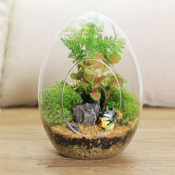 

Яйцевидной формы поделки мох микро пейзаж стеклянная бутылка суккулентных растений ваза украшение дома