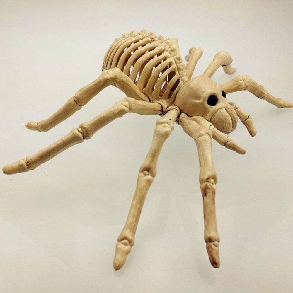 

Spider Skeleton Model Horrified Lifelike Skeleton Model DIY for Decoration Halloween Party Decoration Holiday