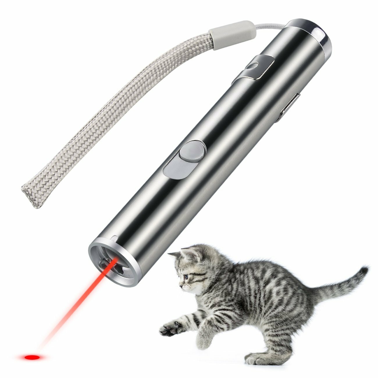 

PT-31USB Rechargeable Pet Toys Cat Training Toy Laser Pointer With LED Flashlight