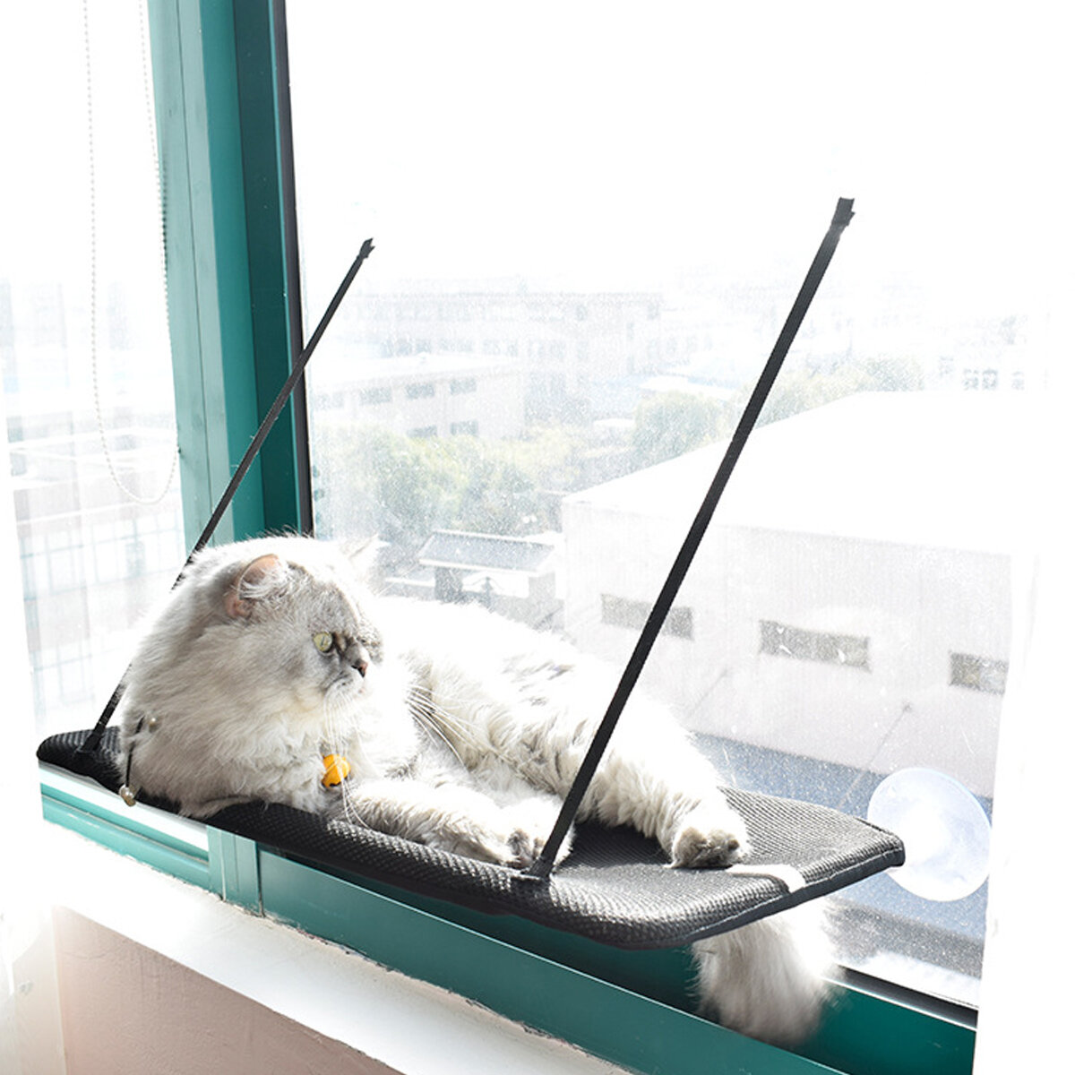 窓掛け吸盤タイププラスチック猫ハンモック
