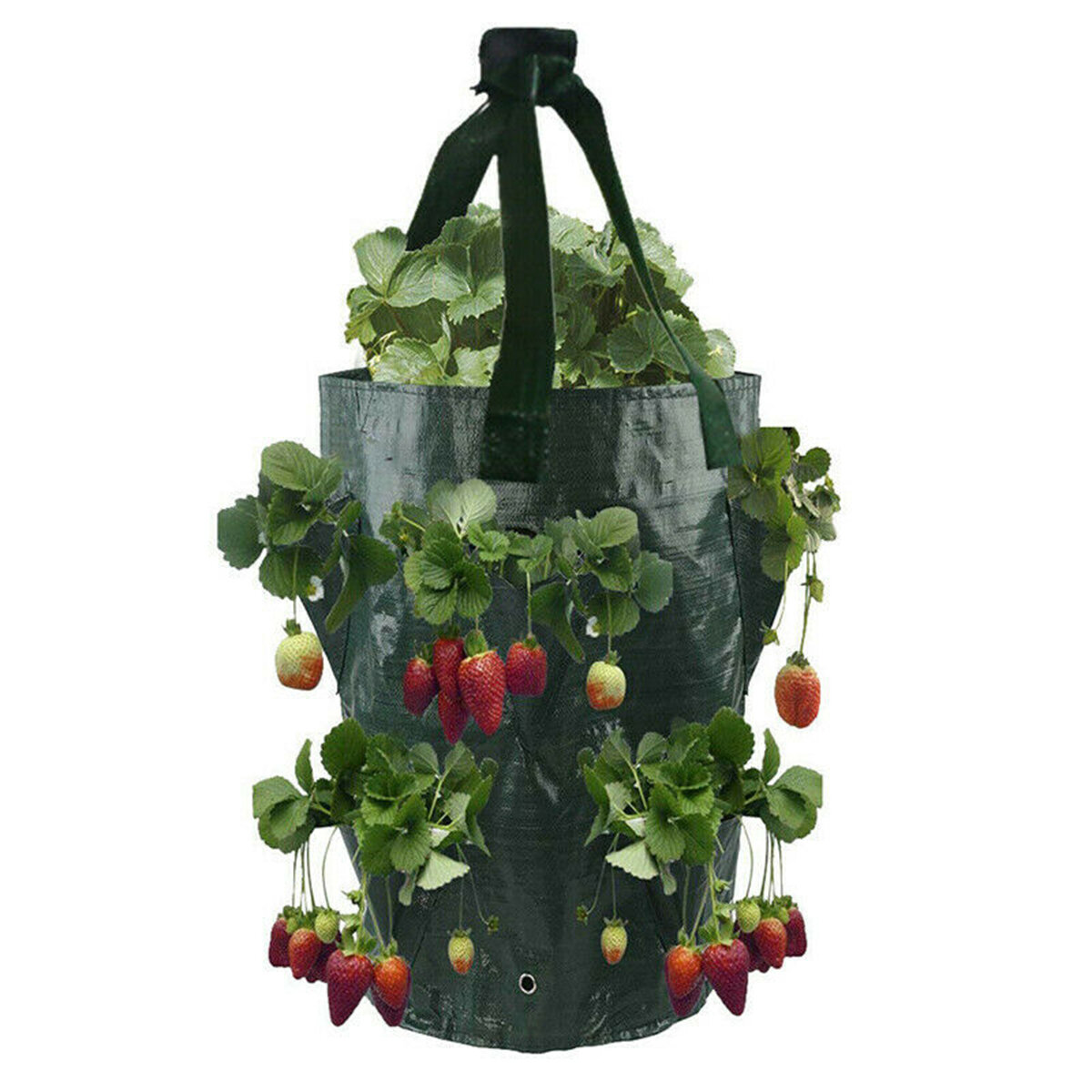 3 Gallon Strawberry Plant Grow Bag Garden Hanging Pouch Flower Herb Bags - US$3.99