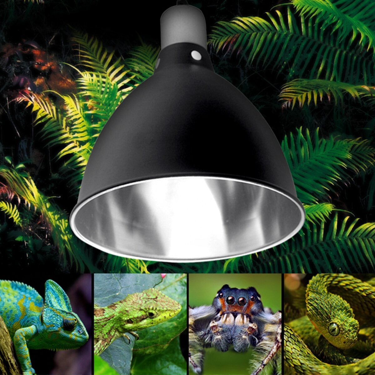 uv basking lamp for tortoise