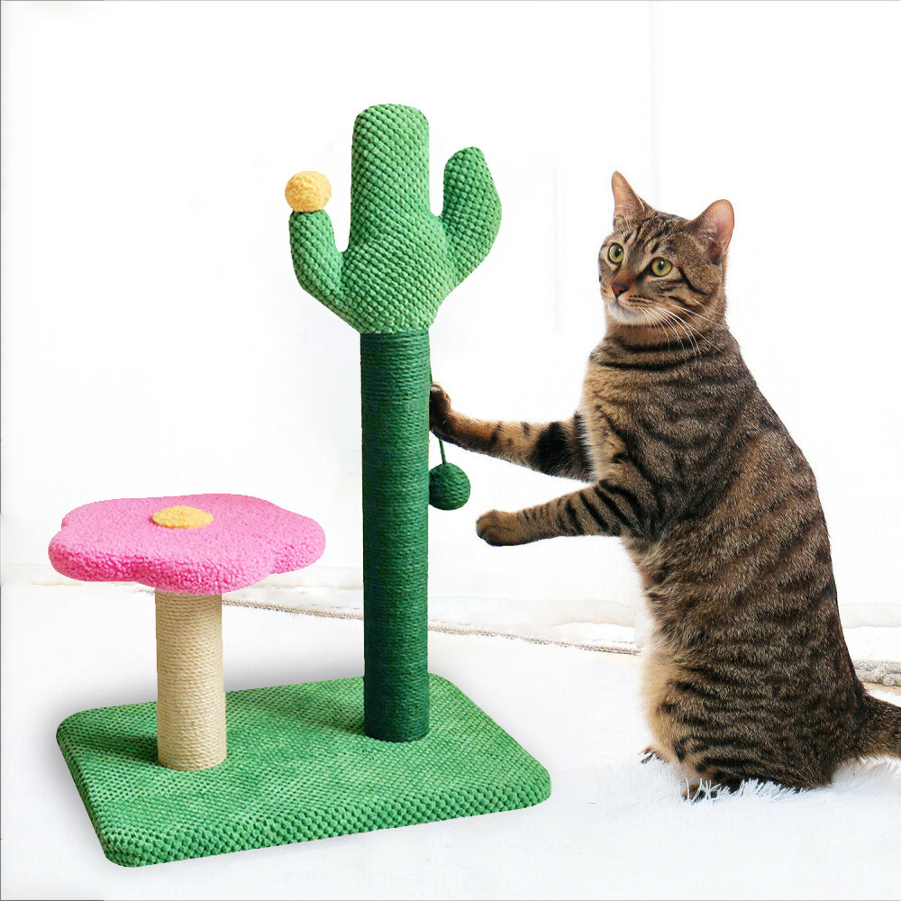 

Cat Tree Climbing Cactus Scratching Post Jumping Furniture Pet Supplies Puppy Dog Training Toy