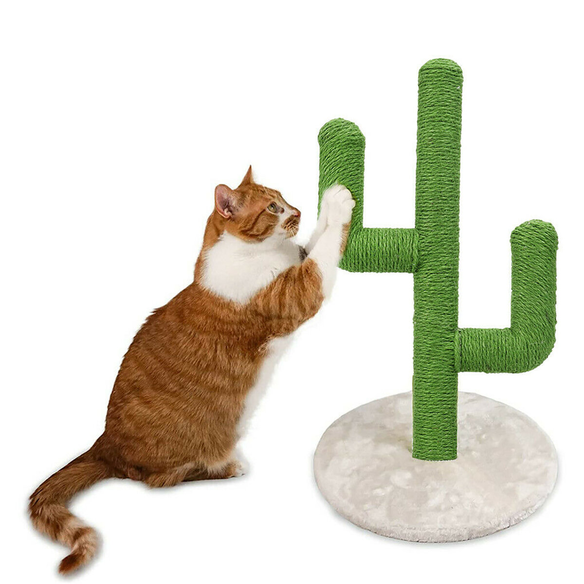 

Cactus Pet Cat Tree Toys PVC Durable Cats Climbing Tree Cat Toy with Ball Scratcher Posts