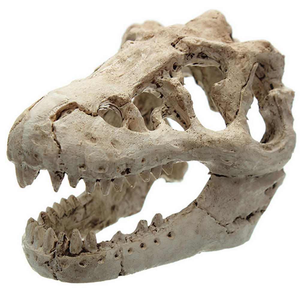 Dragon Resin Aquarium Decoration Crocodile Skull Voor Aquarium Hars Ornament