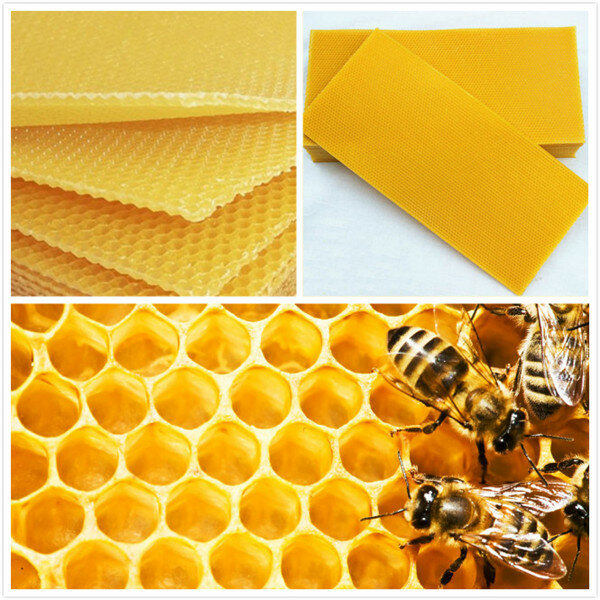 30PCS Honeycomb Foundation Beehive Wax Frames Waxing Beekeeping Equipment Bee US 