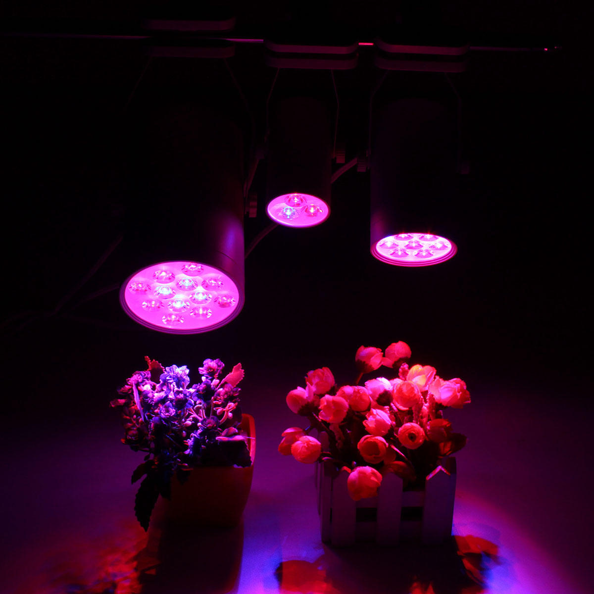 3W 7W 12W LED-plantlampen groeien Lamp-vloed aanvullend licht