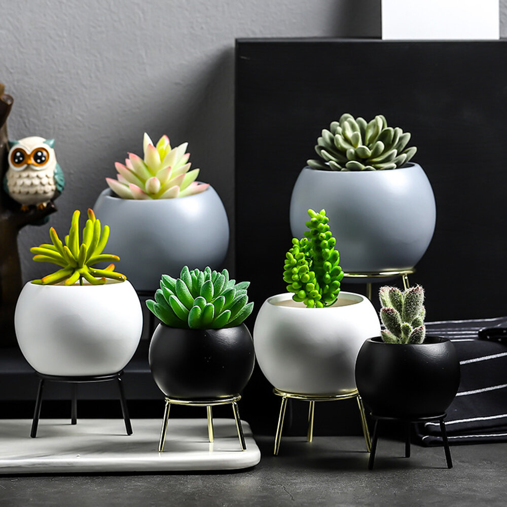 Succulent Pot Vase Simple Iron Frame Flower Stand Ceramic Hydroponic Flowerpot for Green Plant Set