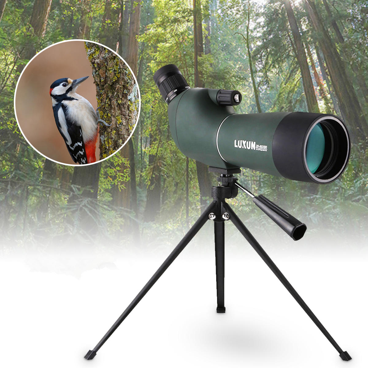 Wasserdichtes Zoom-Spotting-Scope-Monokular für Vogelbeobachtungsteleskop-Stativ 20-60x60mm.