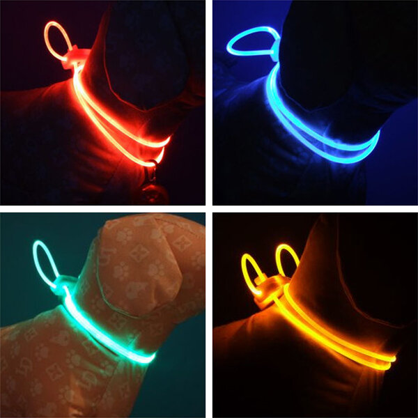 Colorful LED Pet Dog Collar Chain Luminous Light LED Dog Cat Night Light Collar, Banggood  - buy with discount