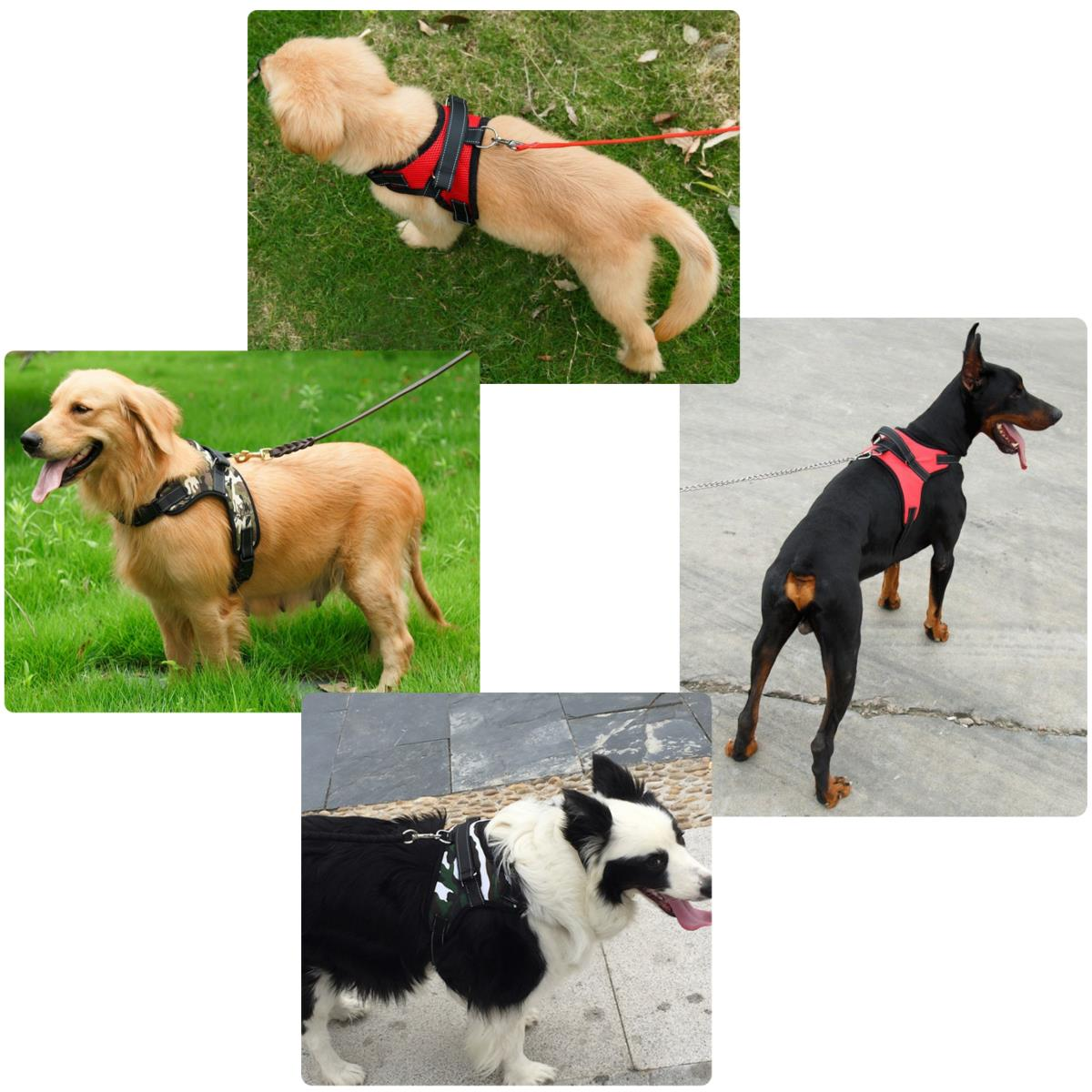 Image of Pet Control Harness Einstellbare Hund & Katze Soft Mesh Walk Kragen Sicherheitsgurt Weste