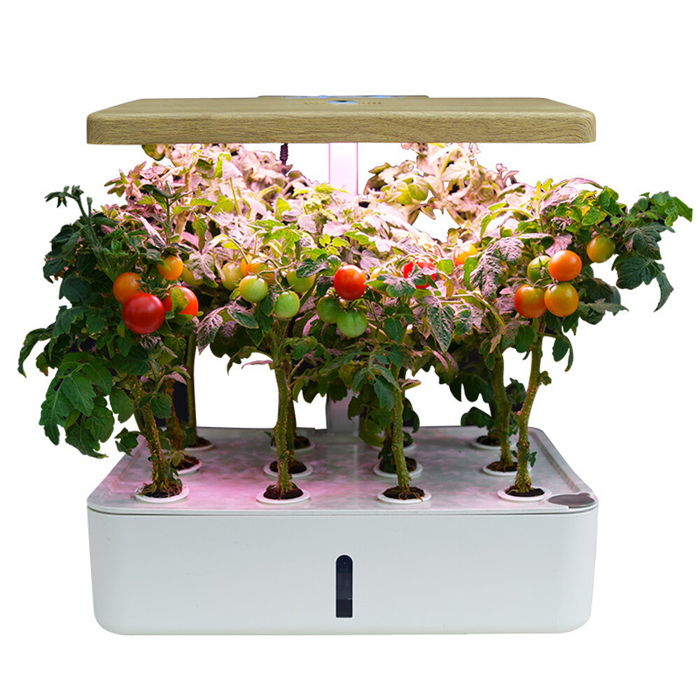 110-240V Indoor Intelligent Hydroponic Planting Box Soilless Cultivation Equipment LED Fill Light Vegetable Planting Mac