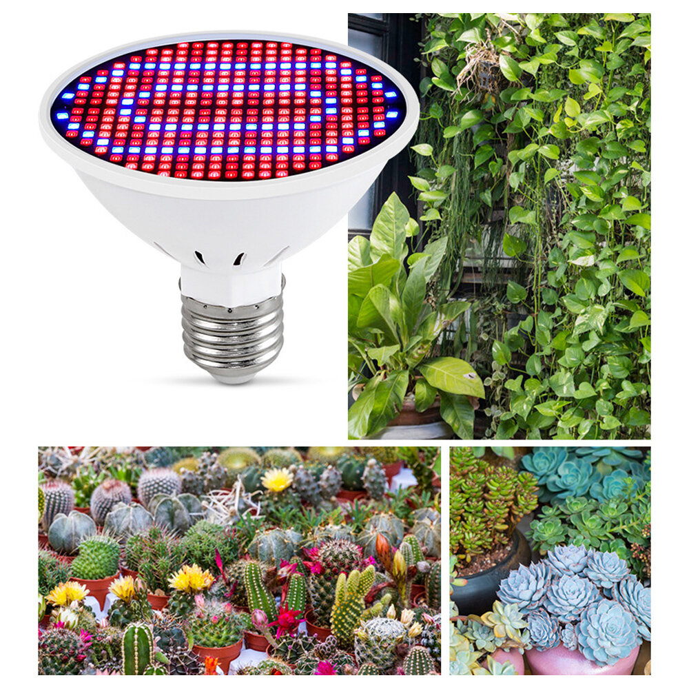 

E27 30W LED Grow Light 300LED Full Spectrum Plant Lamp for Flower Seeds