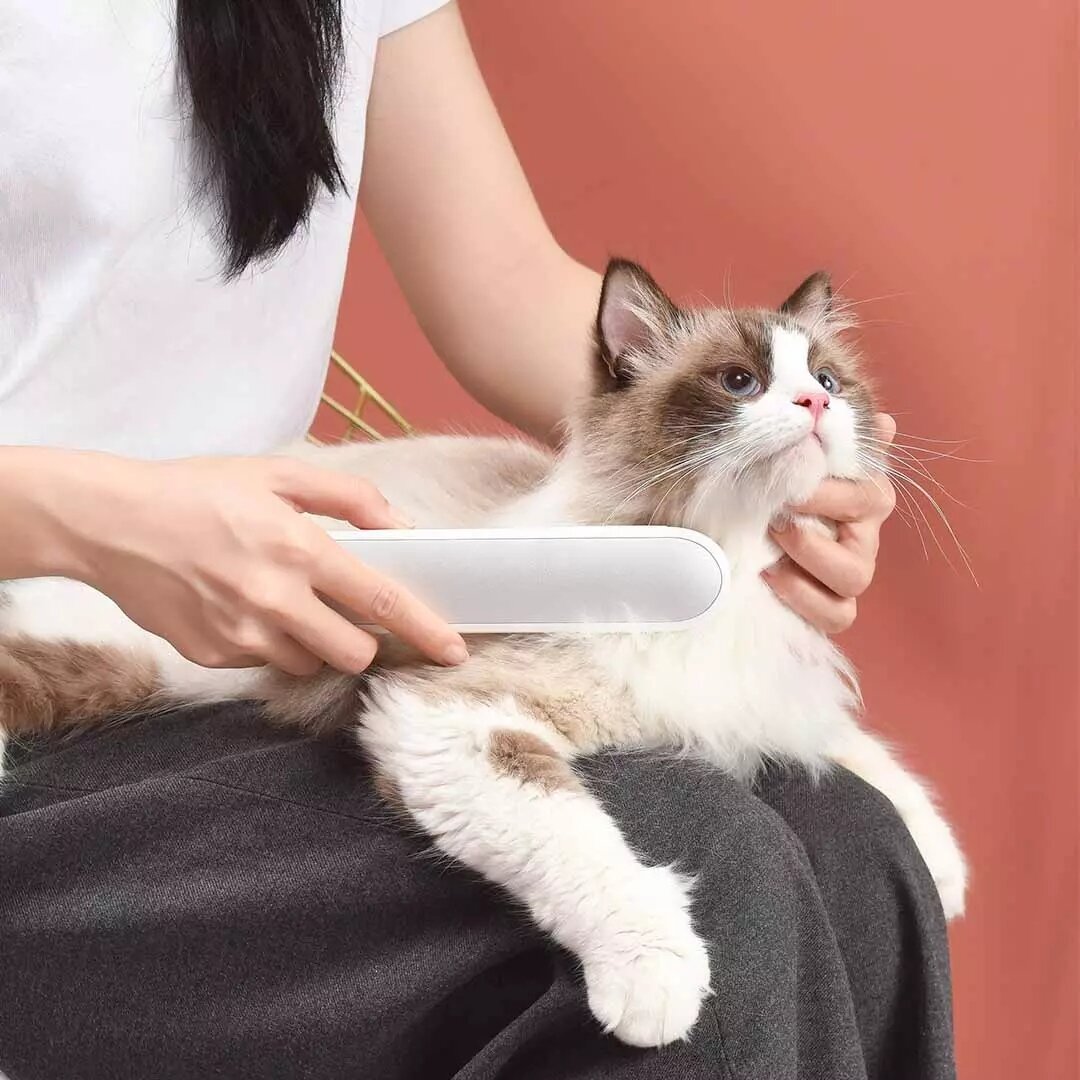 Xiaomi CARN Pets Smart Ozone Sterilization Comb za $44.99 / ~182zł