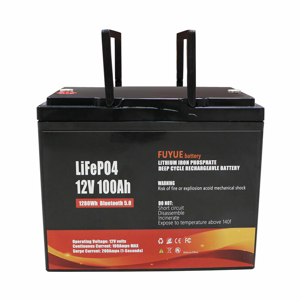 best price,fuyue,12v,100ah,lifepo4,battery,pack,eu,discount
