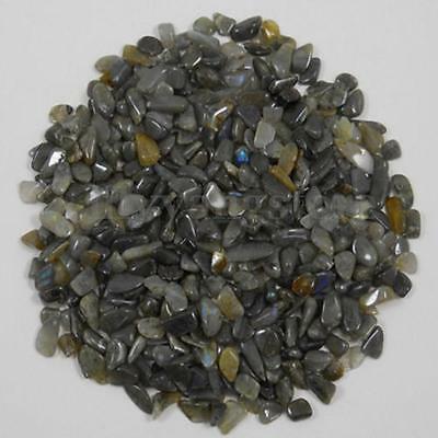 1/4 LB Natuurlijke labradoriet Mini tuimelde edelsteen steenkristallen die huisdecoraties helen