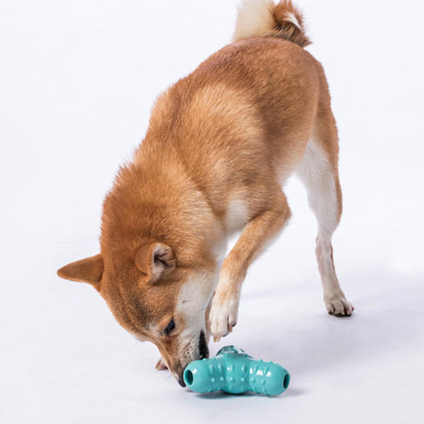Jordan & Judy Huisdierenspeelgoed Waterdicht hondenkat Vocaal speelgoed Bijtbestendig Tand Schoon In