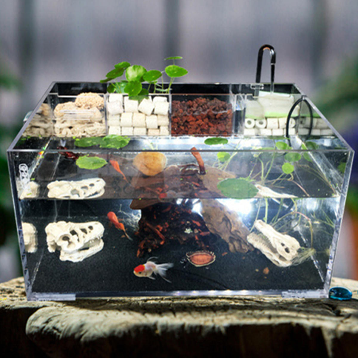 

Акрил Прозрачный Аквариум Fish Tank w Water Насос Фильтр для дома и офиса Рабочий стол