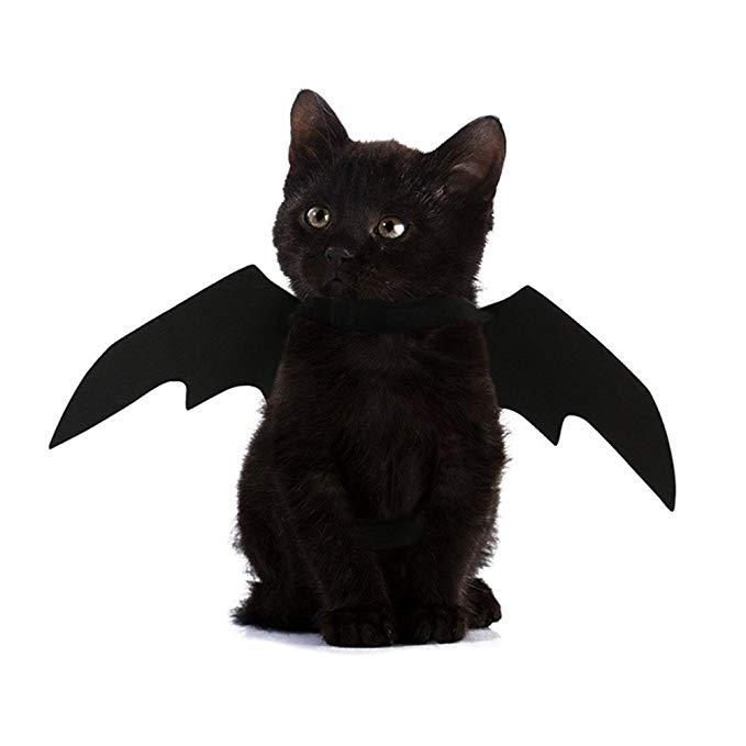 Halloween Pet Dog Cat Bat Wings Costume Black Pet Puppy Cat Clothing Pet T-shirt