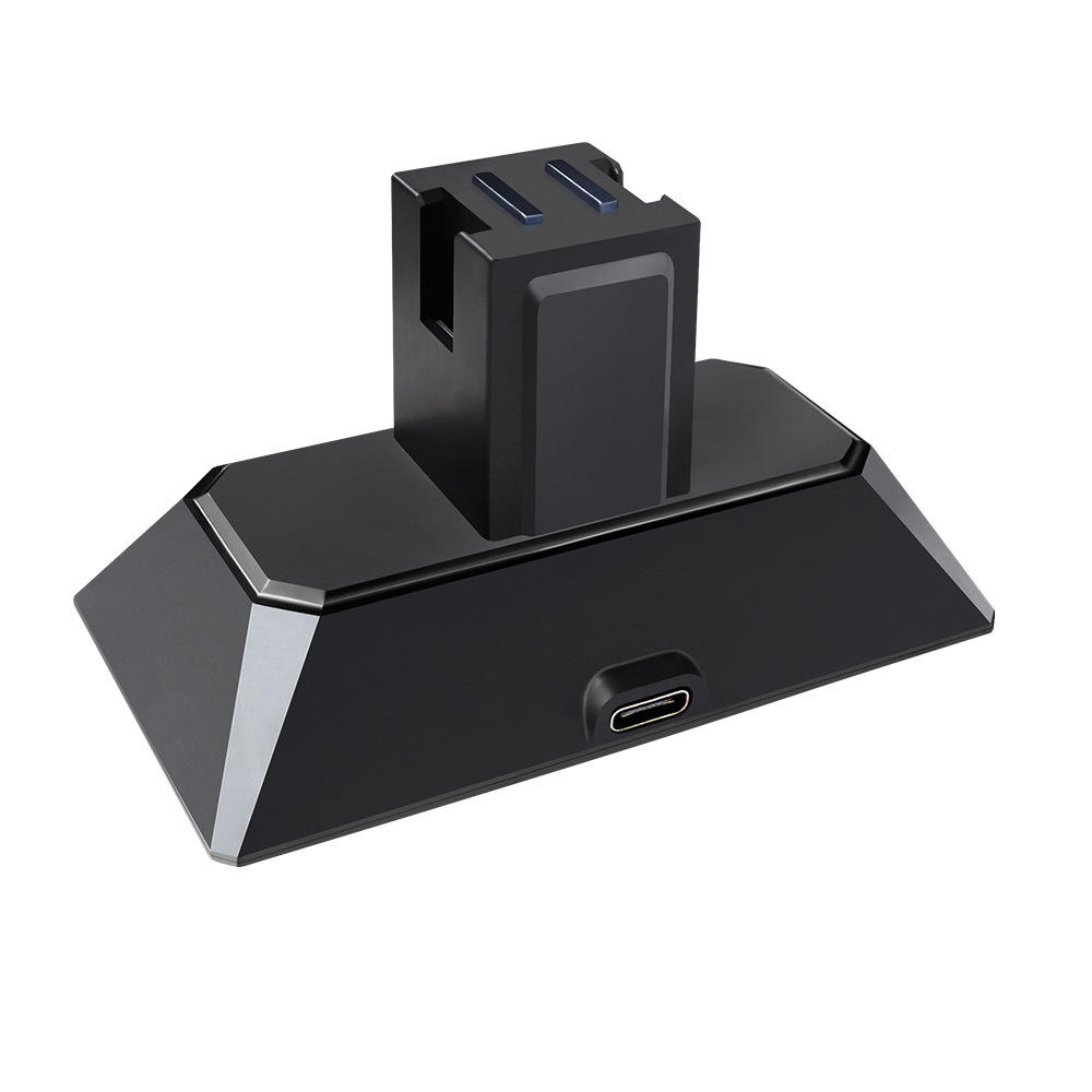 Dual Slot Charging Dock Station Stand Oplader met USB-kabel voor Nintendo Switch Joy-Con Gamepad Gam