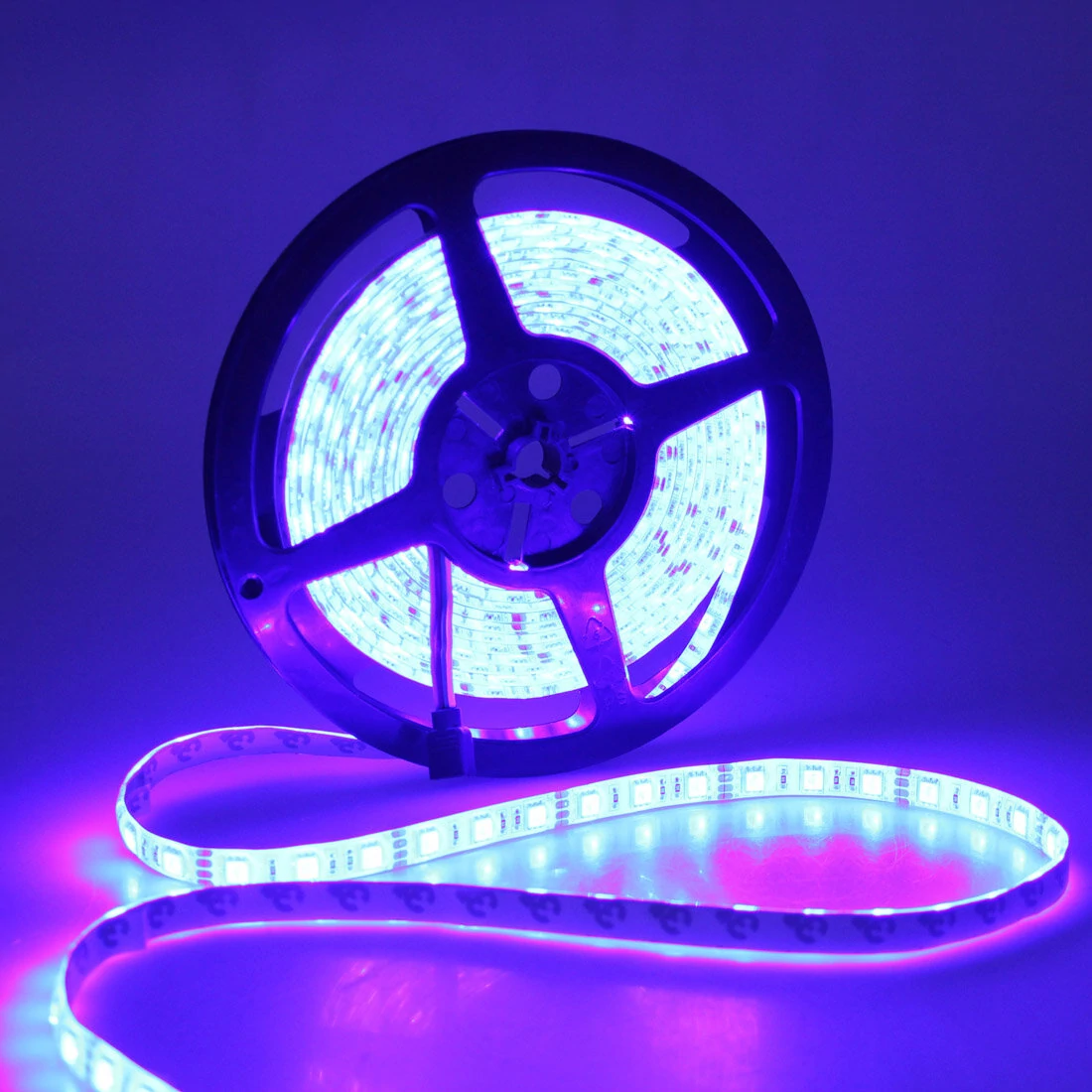 5M 5050 RGB Waterproof 300 LED Strip Light DC12V+24 Key IR Remote Controller for Outdoor Use
