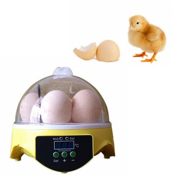 EU Automatic Eggs Incubator Mini Incubation Equipment Farm 7 Eggs Household Teaching Experiments