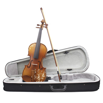 Aston 4/4 Spruce wood Carving Violin with Bow String Rosin Mute Case AV-30