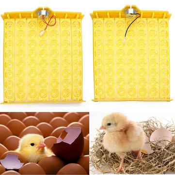 Automatic Egg Incubator 56 Eggs Turner Tray Chicken Quail Duck With 110V/220V